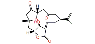 Scabrolide E